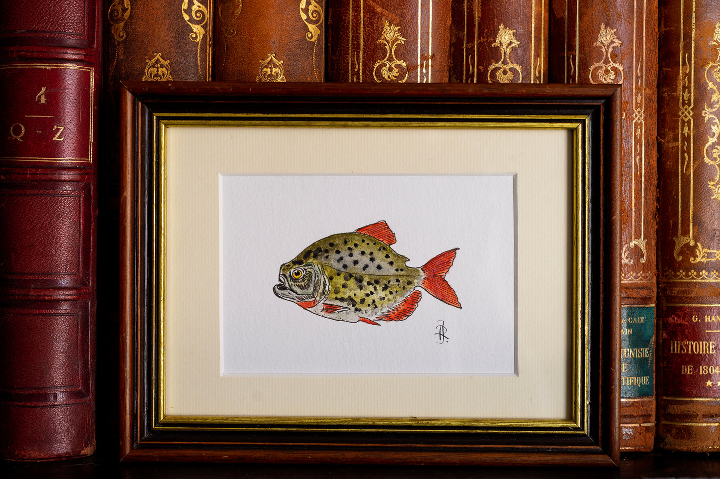 Aquarelles Poissons