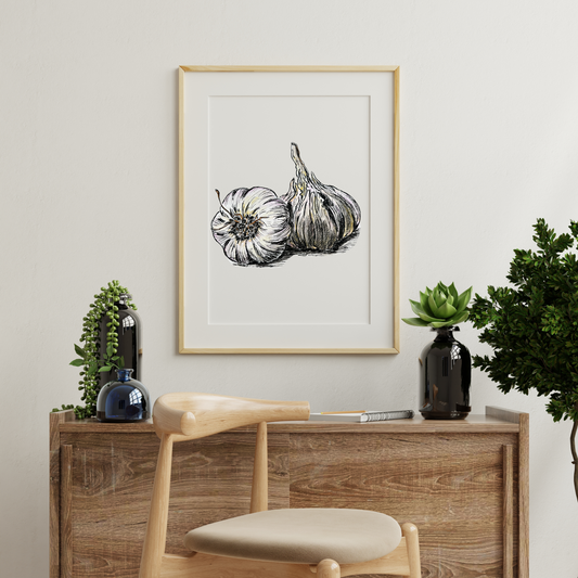Aquarelle Tête d'Ail