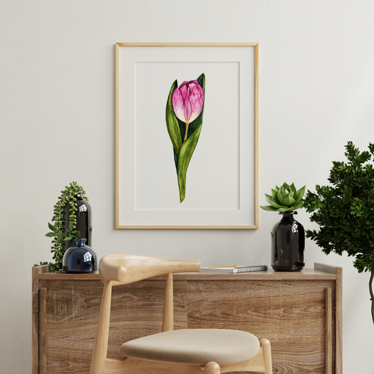 Aquarelle Tulipe
