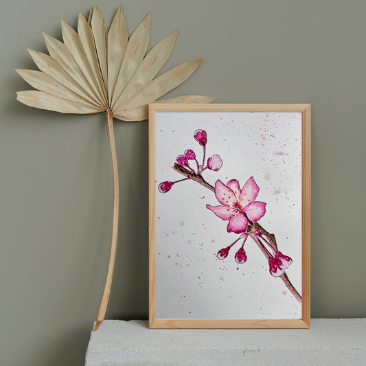Aquarelle Cerisier Japonais