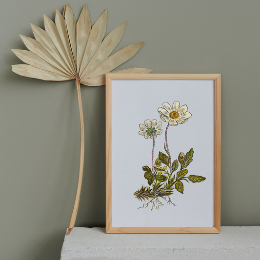 Aquarelle Dryade