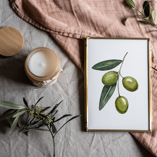 Aquarelle Olives Vertes