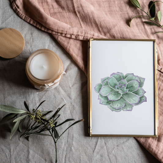 Aquarelle  Cactus Succulent