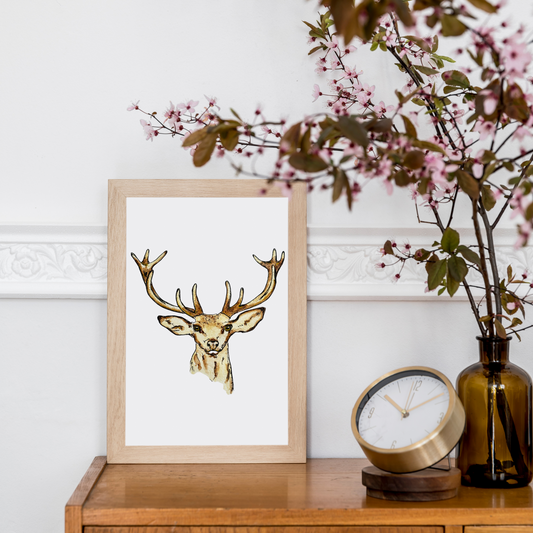 Aquarelle Cerf