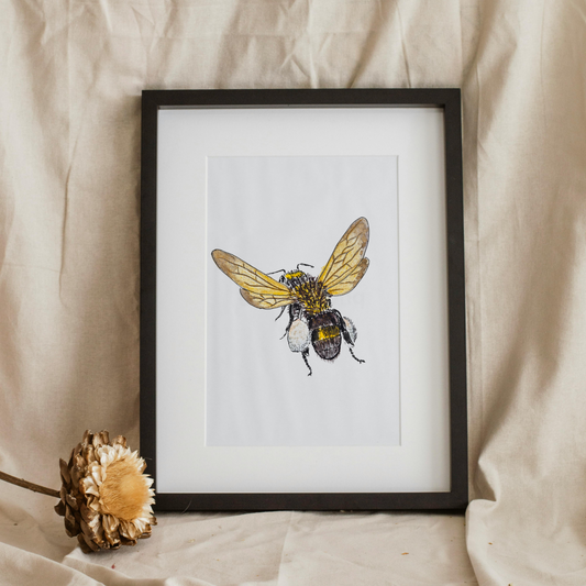 Aquarelle Abeille transportant le pollen