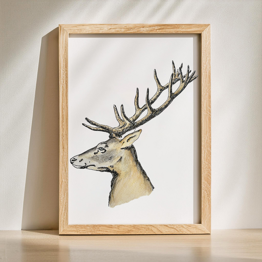 Aquarelle Tête de Cerf