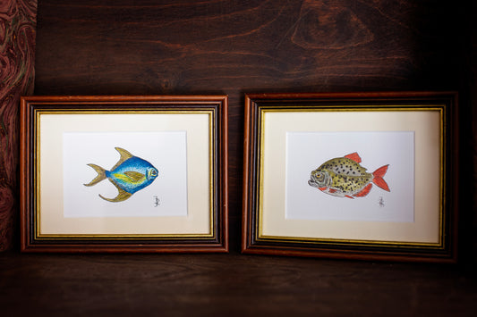 Aquarelles Poissons